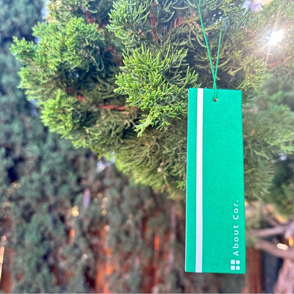 About Car Air Freshener | 6 Count (Pack of 1) | Mystic Trails - Picture 2 of 6